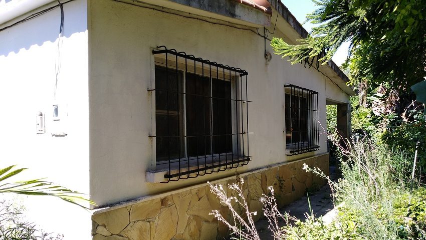 Frente a