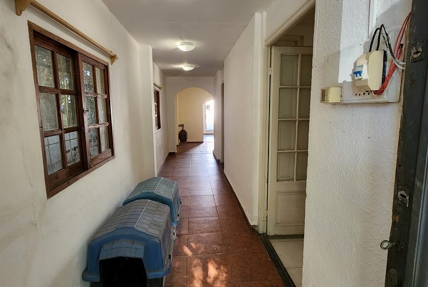Pasillo (3)