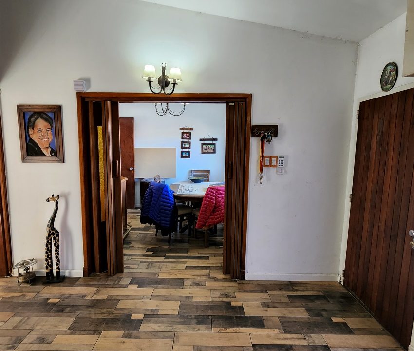 Estar (7)