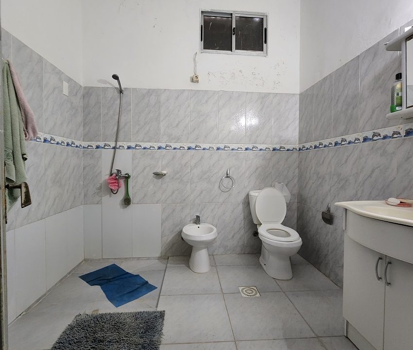 Baño I (2)